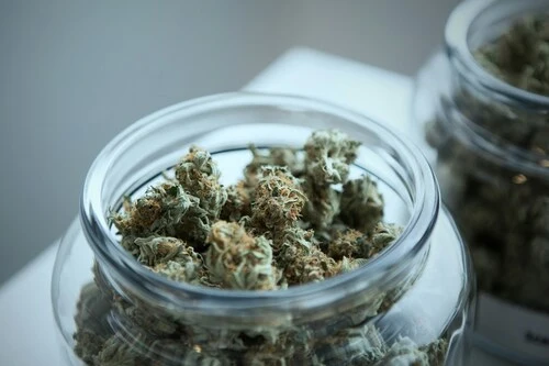 transparent jar full of cereal a la mode indica cannabis buds
