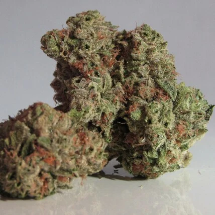 a close up image of our cookies cereal milk weed strain, with green and orange flakes of THC